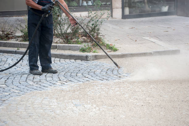 Best Roof Washing  in Middle Island, NY